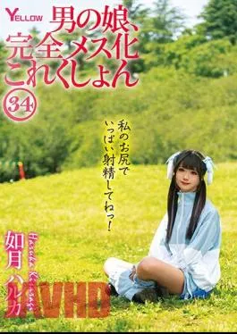 HERY-138 Man’s Daughter, Complete Female Collection 34 Haruka Kisaragi