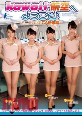 KAPD-026 Ed Training CA Big Mini Skirt – Welcome To Kawaii * Aviation –