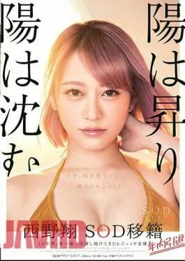 Mosaic STARS-113 The Sun Rises And The Sun Sinks Sho Sho Nishino Resigned Within The Year Retirement Within The Year 15 Years, Legendary Actress Who Has Been Active On The Front Line “What Do You Think Now …” Naked Document