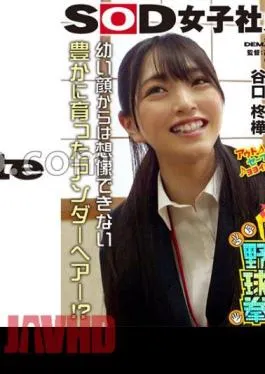 SHYN-214 Natural Pubic Hair Discovered!? It’s more embarrassing than being a fool! Undressing Camp BOX Baseball Fist General Affairs Department Mid-career 1st Year Hiiragi Taniguchi